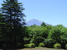 可眺望富士山的土地物件No.001
