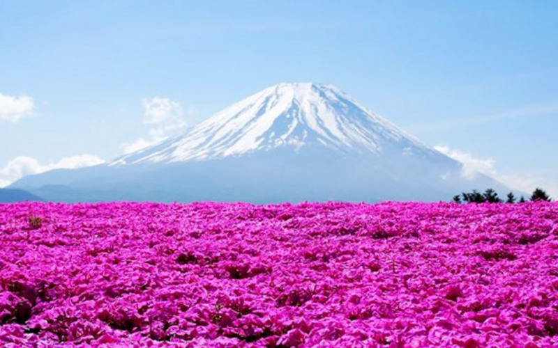 カメラ】富士山周辺で「いい写真」を撮る方法｜趣味｜フジヤマ