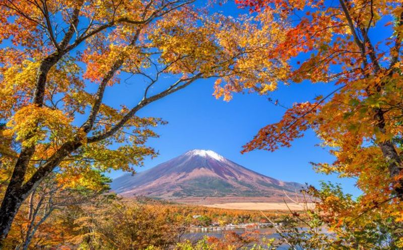 Seaofclouds Ks | 2025.4.5 岩本山公園の朝☀️ EOS RP＋RF24