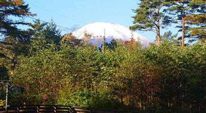 お庭からの富士山の眺め