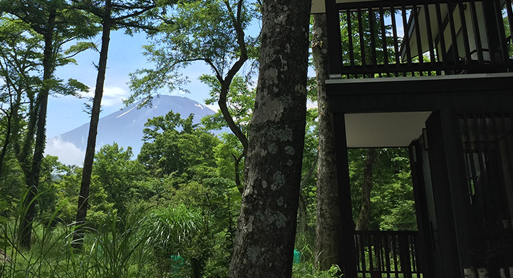 お庭からの富士山の眺め