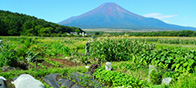 富士山に抱かれて土にふれる楽しさと、収穫の喜びを