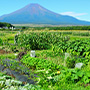 Vol.36　富士山に抱かれて土にふれる楽しさと、収穫の喜びを