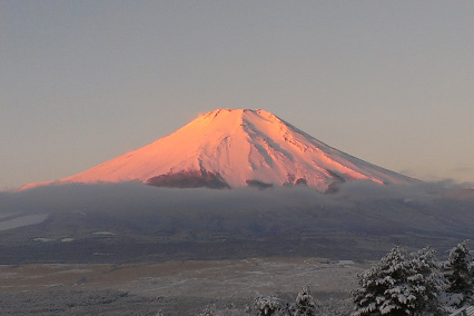 フラミンゴレッドに染まる富士山