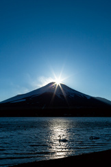 秋から冬へ、荘厳な大自然の アートを鑑賞する。～山中湖からダイヤモンド富士を眺望