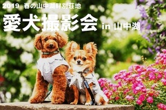 【※4/25追記／満員御礼】ドッグフォトグラファーによる愛犬撮影会