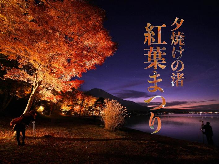10/28～11/13 夕焼けの渚 紅葉まつり&チームラボ山中湖