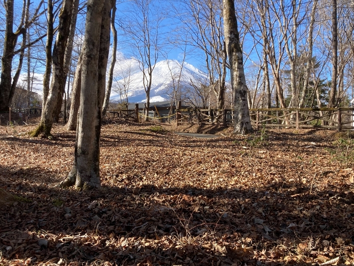 【おすすめ土地物件】富士山眺望物件 360坪（1,190.08m²）