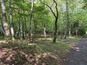 【新着物件｜土地】平坦地・村道隣接｜西区9丁目