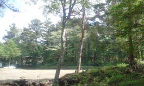2011年新分譲地第5弾「ふれあいの森」販売開始。