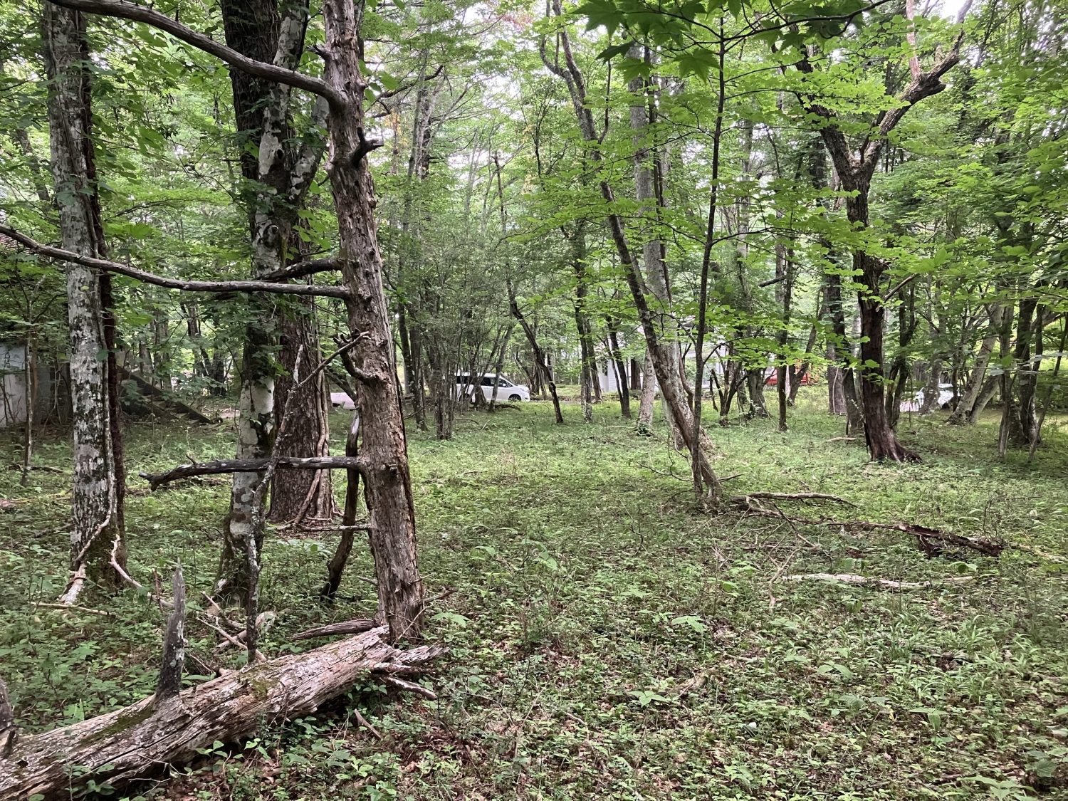 アクセス性と自然を兼ね備えた平坦地【西区3丁目7番地】