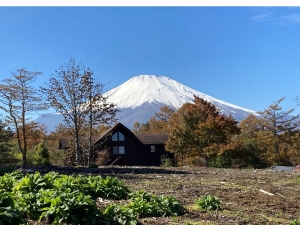 山中湖畔至近（約140ｍ）、四季を通じた富士山・落葉期には山中湖眺望の平坦土地※所有権