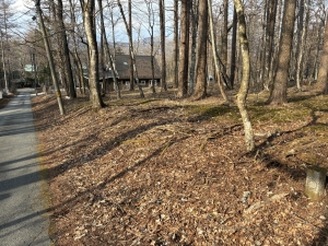 ホンカガーデン山中湖Ⅱ（西区2丁目19番地2・3号）