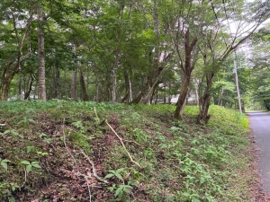 国道至近の利便性、段上が守るプライバシー。（中区3丁目1番地10号・12号）