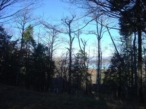 【湖畔眺望】眼下に見える山中湖（富士あざみ丘4-92）